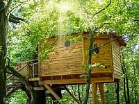 Stromodomek (Treehouse)