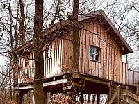 Family Treehouse